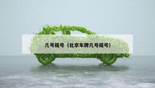 幾號搖號（北京車牌幾號搖號）